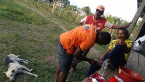 12803282_10156665753960249_4664198400745877920_n